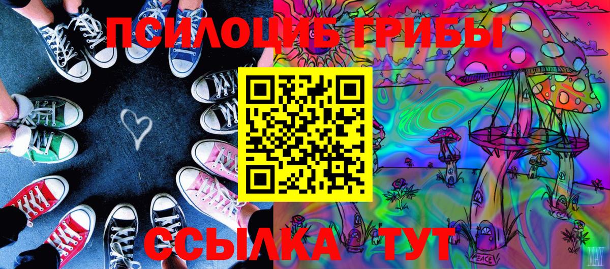 Волхов  Псилоцибиновые грибы ЛСД  Галлюциногенные грибы Cubensis  Вход с VPN 